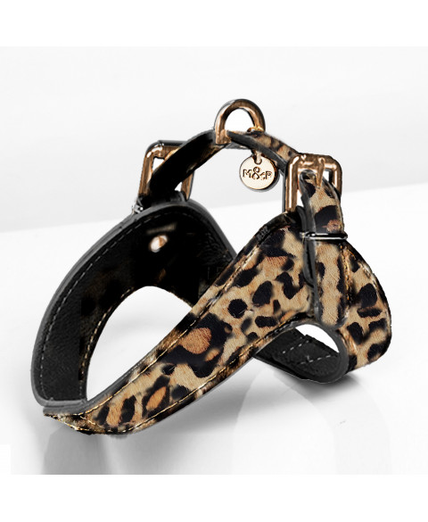 Leather Parachute Harness Leopard Design